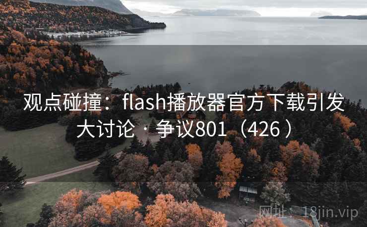 观点碰撞：flash播放器官方下载引发大讨论 · 争议801（426 ）  第2张